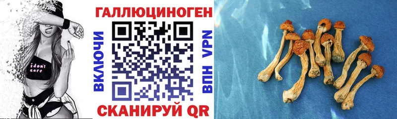 хочу   Благодарный  Галлюциногенные грибы GOLDEN TEACHER 